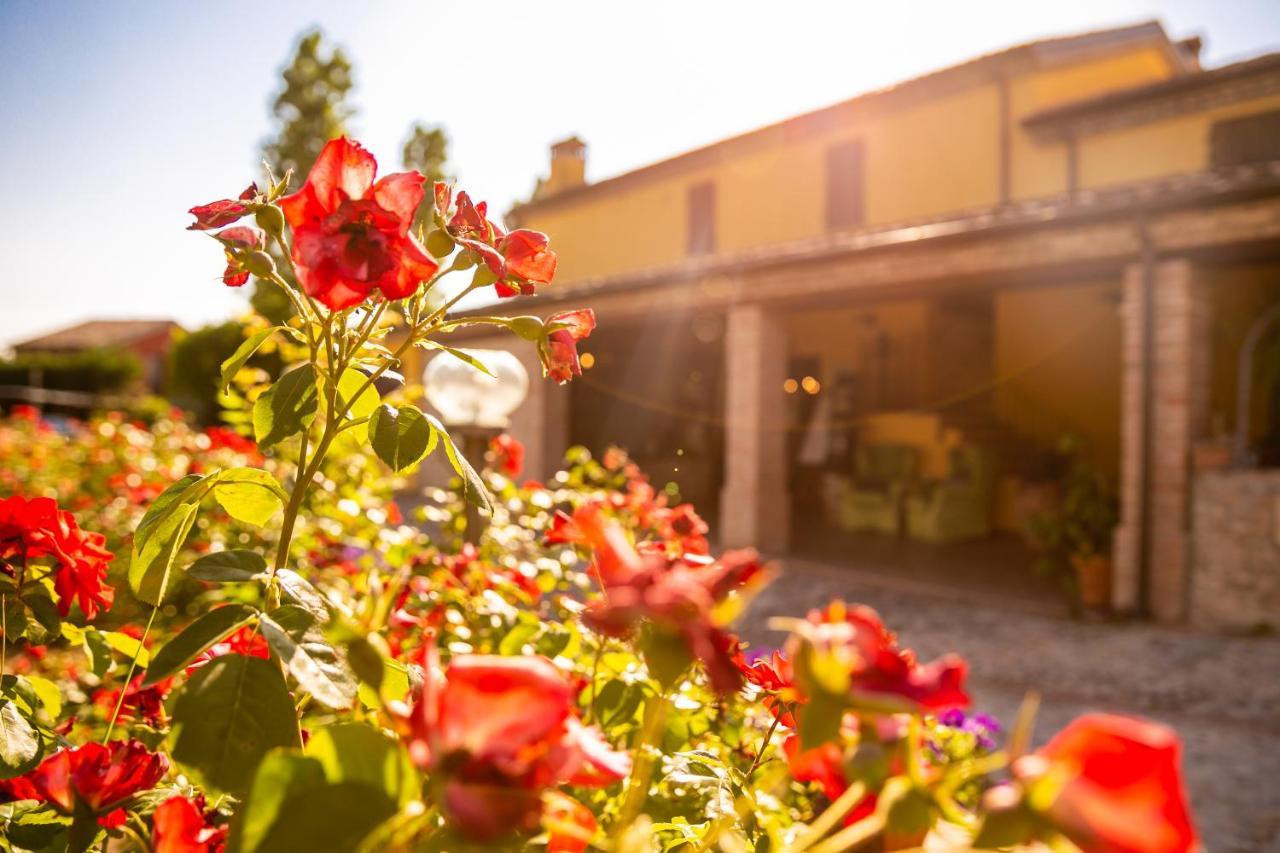 Il Podere Del Germano Reale Coriano Zewnętrze zdjęcie