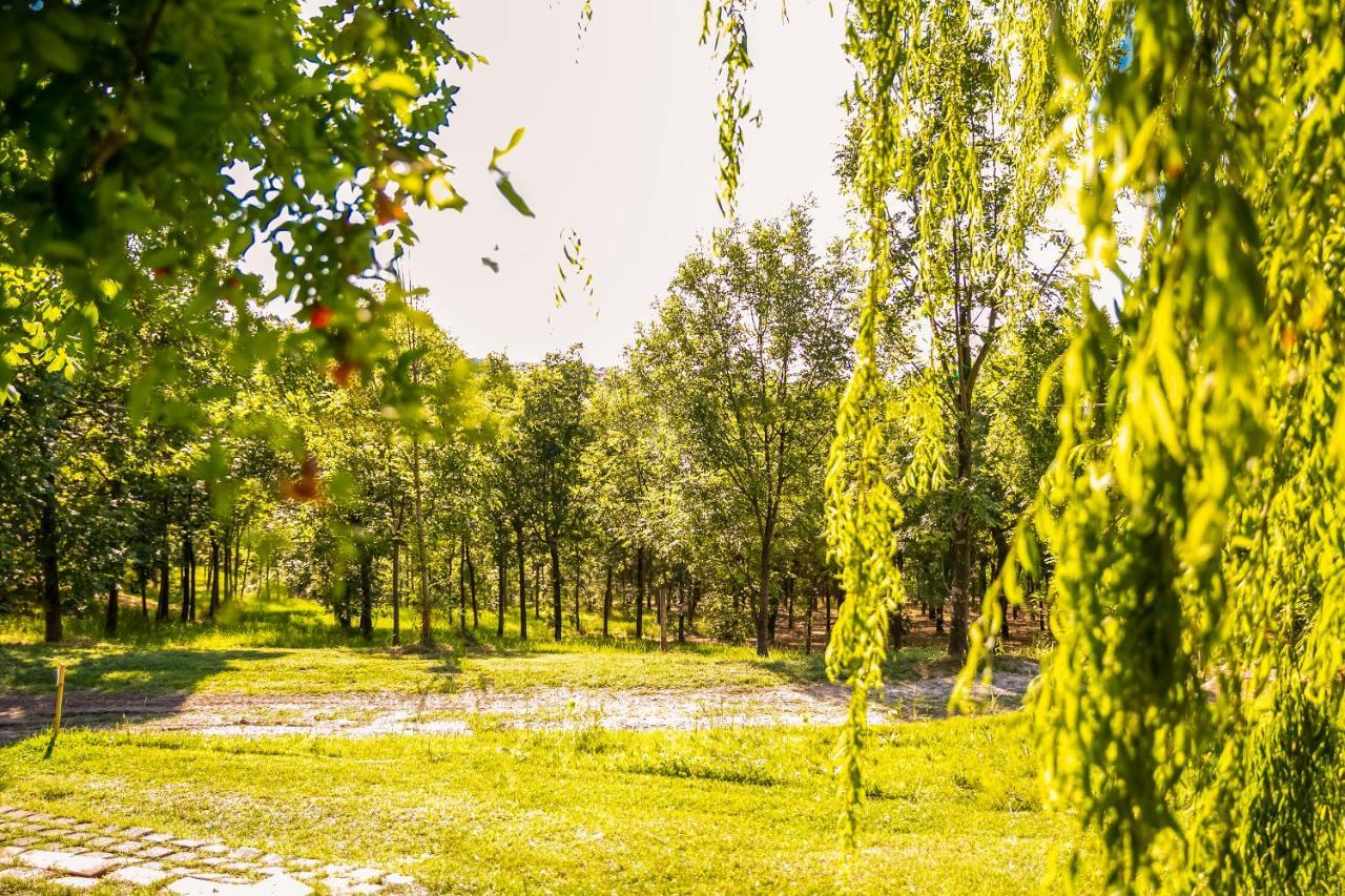 Il Podere Del Germano Reale Coriano Zewnętrze zdjęcie