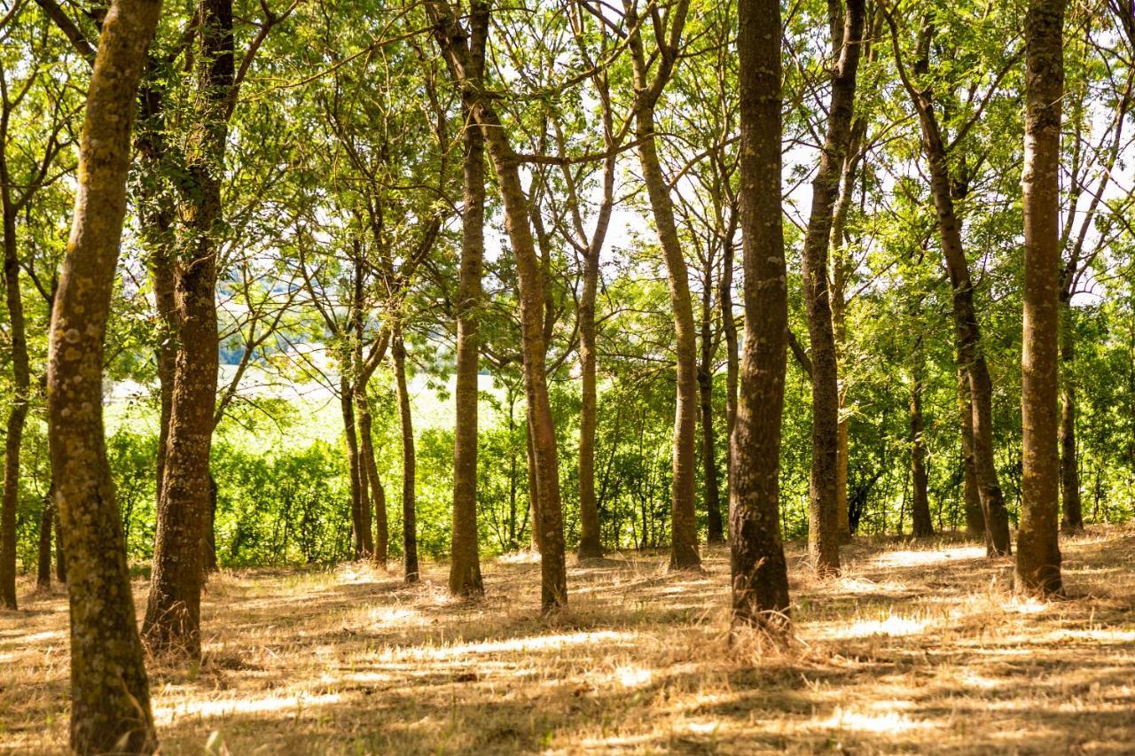 Il Podere Del Germano Reale Coriano Zewnętrze zdjęcie