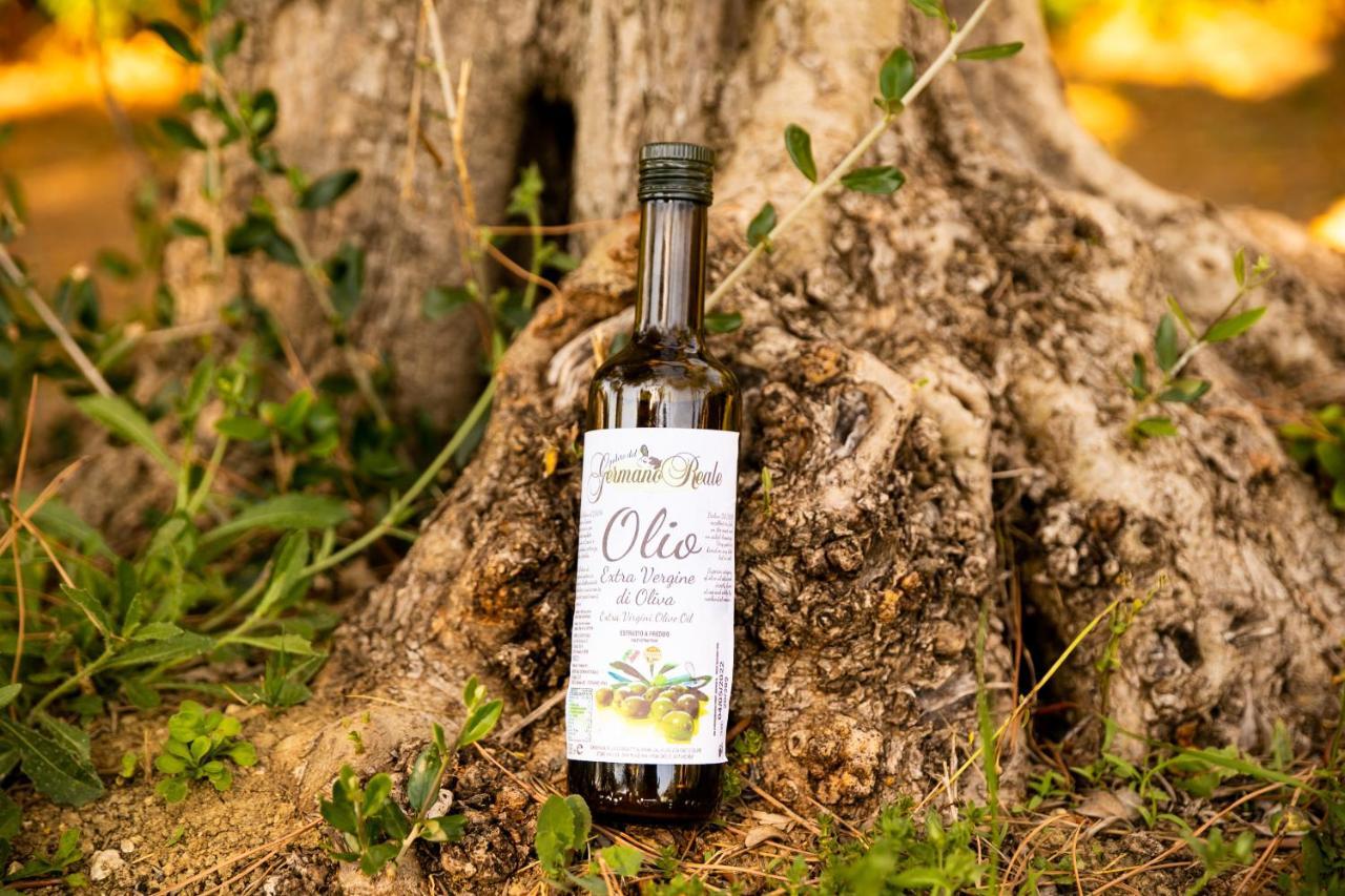 Il Podere Del Germano Reale Coriano Zewnętrze zdjęcie